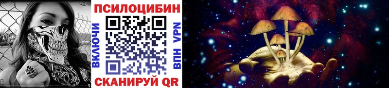 Галлюциногенные грибы Magic Shrooms  darknet как зайти  Павловск  OMG как войти 